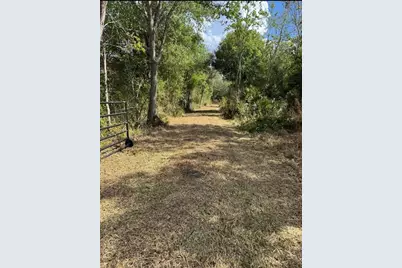 36564 Singletary Road, Myakka City, FL 34251 - Photo 20