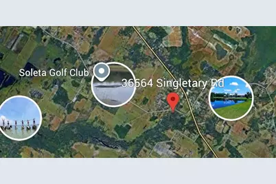 36564 Singletary Road, Myakka City, FL 34251 - Photo 2