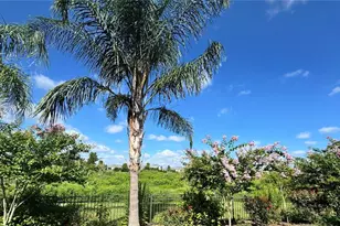 13638 Old Creek Ct, Parrish, FL 34219 - Photo 48