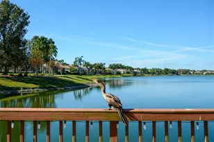 6716 Spring Moss Pl, Lakewood Ranch, FL 34202 - Photo 48