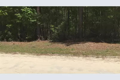 0 NE 133rd Avenue, Williston, FL 32696 - Photo 2