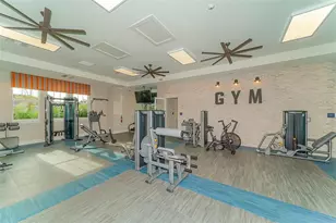 13927 Old Creek Ct, Parrish, FL 34219 - Photo 48
