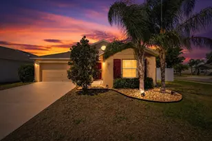 936 Zone Tailed Hawk Pl, Ruskin, FL 33570 - Photo 1