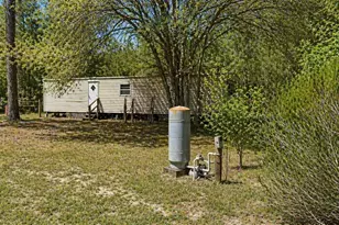 11281 NE 64th Pl, Williston, FL 32696 - Photo 2