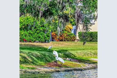 1846 Amberwynd Circle W, Palmetto, FL 34221 - Photo 24