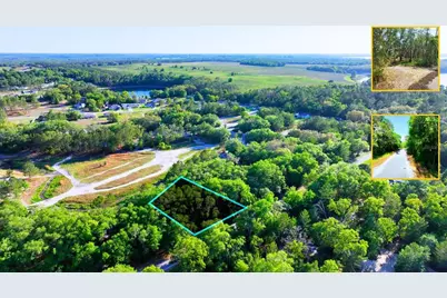 Tbd Malauka Radial, Ocklawaha, FL 32179 - Photo 4