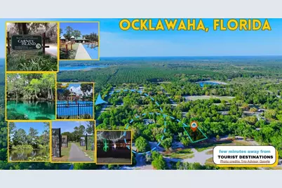 Tbd Malauka Radial, Ocklawaha, FL 32179 - Photo 8