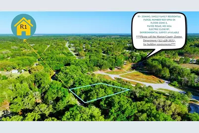Tbd Malauka Radial, Ocklawaha, FL 32179 - Photo 2