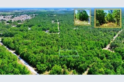 Tbd SW 24th Place, Ocala, FL 34481 - Photo 4