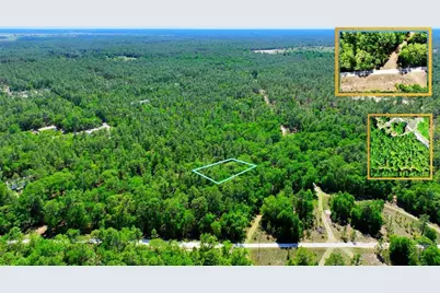 Tbd SW 24th Place, Ocala, FL 34481 - Photo 6