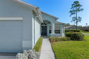 18236 Webster Grove Dr, Hudson, FL 34667 - Photo 4