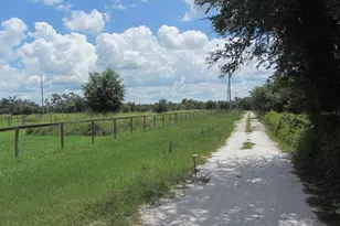 46365 State Road 64 E, Myakka City, FL 34251 - Photo 50