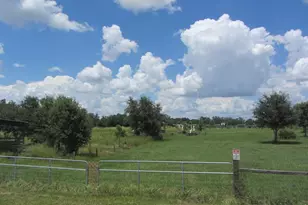 46365 State Road 64 E, Myakka City, FL 34251 - Photo 2
