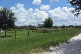 46365 State Road 64 E, Myakka City, FL 34251 - Photo 46