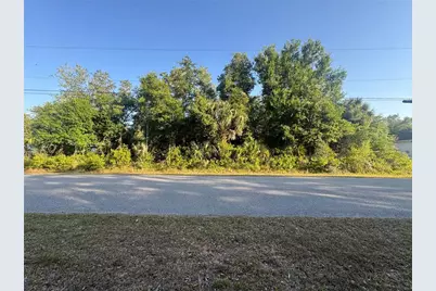 Petal Road, North Port, FL 34291 - Photo 4