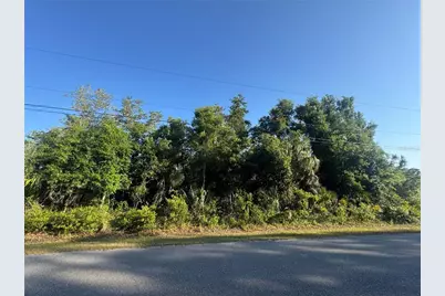 Petal Road, North Port, FL 34291 - Photo 1