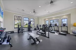 17727 Savory Mist Cir, Bradenton, FL 34211 - Photo 64
