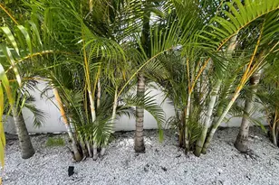 2532 Fruit Tree Dr, Sarasota, FL 34239 - Photo 42