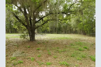 103 George Drive, Interlachen, FL 32148 - Photo 6