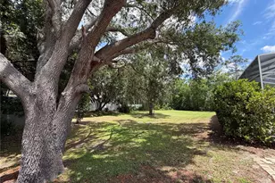 2966 Post Rock Ct, Tarpon Springs, FL 34688 - Photo 44