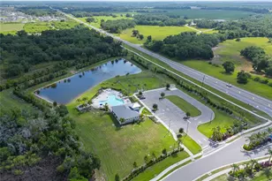 10113 Charlotte Dr., Parrish, FL 34219 - Photo 24