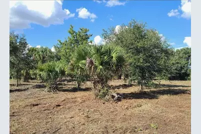 15996 NW 314th Street, Okeechobee, FL 34972 - Photo 4
