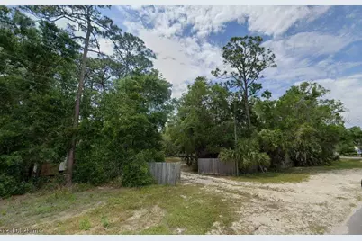 915 Lundy Lane SE, Steinhatchee, FL 32359 - Photo 4