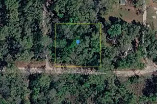 11 NE 717th St, Old Town, FL 32680 - Photo 1