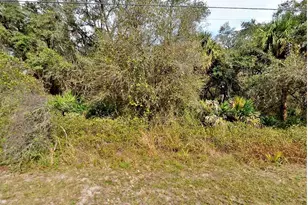 Fling Ave, North Port, FL 34291 - Photo 1