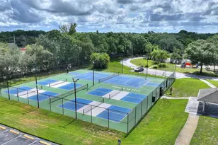 3906 Blooming Hill Ln, Palm Harbor, FL 34684 - Photo 44