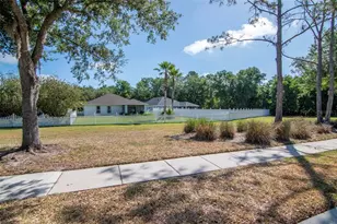 25944 Winning Colors Way, Wesley Chapel, FL 33544 - Photo 38