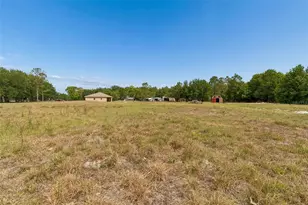 29913 Darby Rd, Dade City, FL 33525 - Photo 90