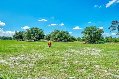 10433 SW Jernigan Street, Arcadia, FL 34269 - Photo 86