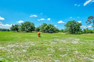 10433 SW Jernigan St, Arcadia, FL 34269 - Photo 86