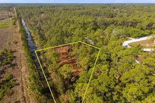 12428 Caravan Dr, Punta Gorda, FL 33955 - Photo 1
