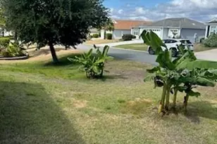 3074 Brine Wy, The Villages, FL 32163 - Photo 2