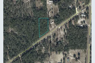 Ne Hwy 351, Old Town, FL 32680 - Photo 2