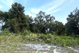 Mangrove Ave, North Port, FL 34288 - Photo 1