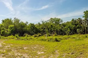9104 Sandy Bluffs Circle, Parrish, FL 34219 - Photo 30