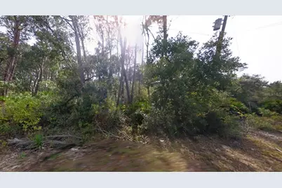 16800 Anna St, Cedar Key, FL 32625 - Photo 2
