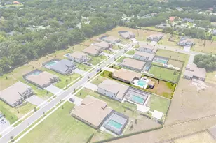1843 Cattle Baron Ct, Lithia, FL 33547 - Photo 78