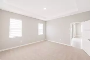8469 Hardy Bay Loop, Wesley Chapel, FL 33545 - Photo 18