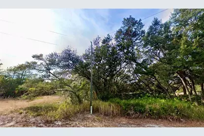175 Fisher Ln Court, Ocklawaha, FL 32179 - Photo 1