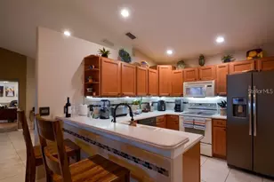 11347 Walden Loop, Parrish, FL 34219 - Photo 8