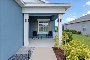 3410 Box Turtle Terrace, Parrish, FL 34219 - Photo 40
