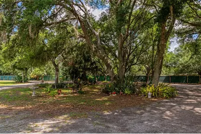 14705 Mossy Hammock Lane, Myakka City, FL 34251 - Photo 22