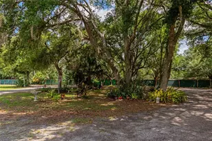 14705 Mossy Hammock Ln, Myakka City, FL 34251 - Photo 22