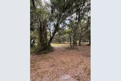 14705 Mossy Hammock Lane, Myakka City, FL 34251 - Photo 44