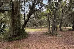 14705 Mossy Hammock Ln, Myakka City, FL 34251 - Photo 44