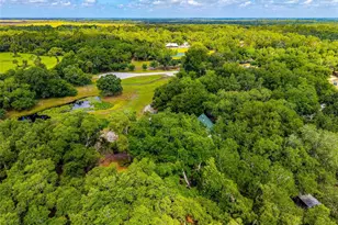 14705 Mossy Hammock Ln, Myakka City, FL 34251 - Photo 62